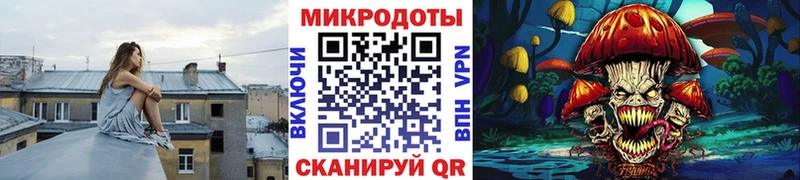 Псилоцибиновые грибы Psilocybe  наркотики  Соликамск 